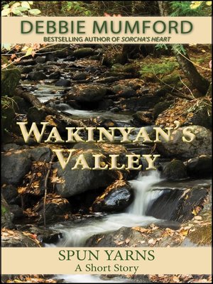 cover image of Wakinyan's Valley
